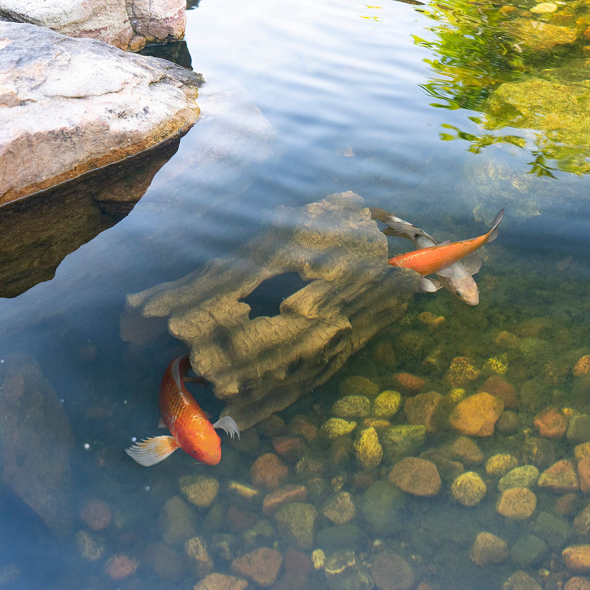 Aquascape faux log fish cave provides accessible shelter for koi during outdoor season.