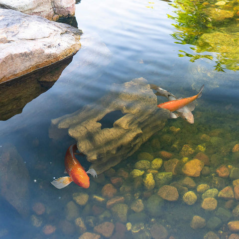 Aquascape faux log fish cave provides accessible shelter for koi during outdoor season.