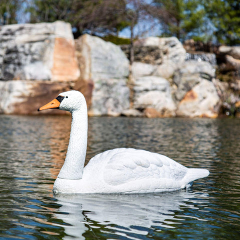 Aquascape swan decoy with anchor tab stays secure in windy conditions.