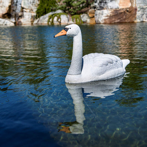 Aquascape durable polyresin swan provides year‑round pond protection and beauty.