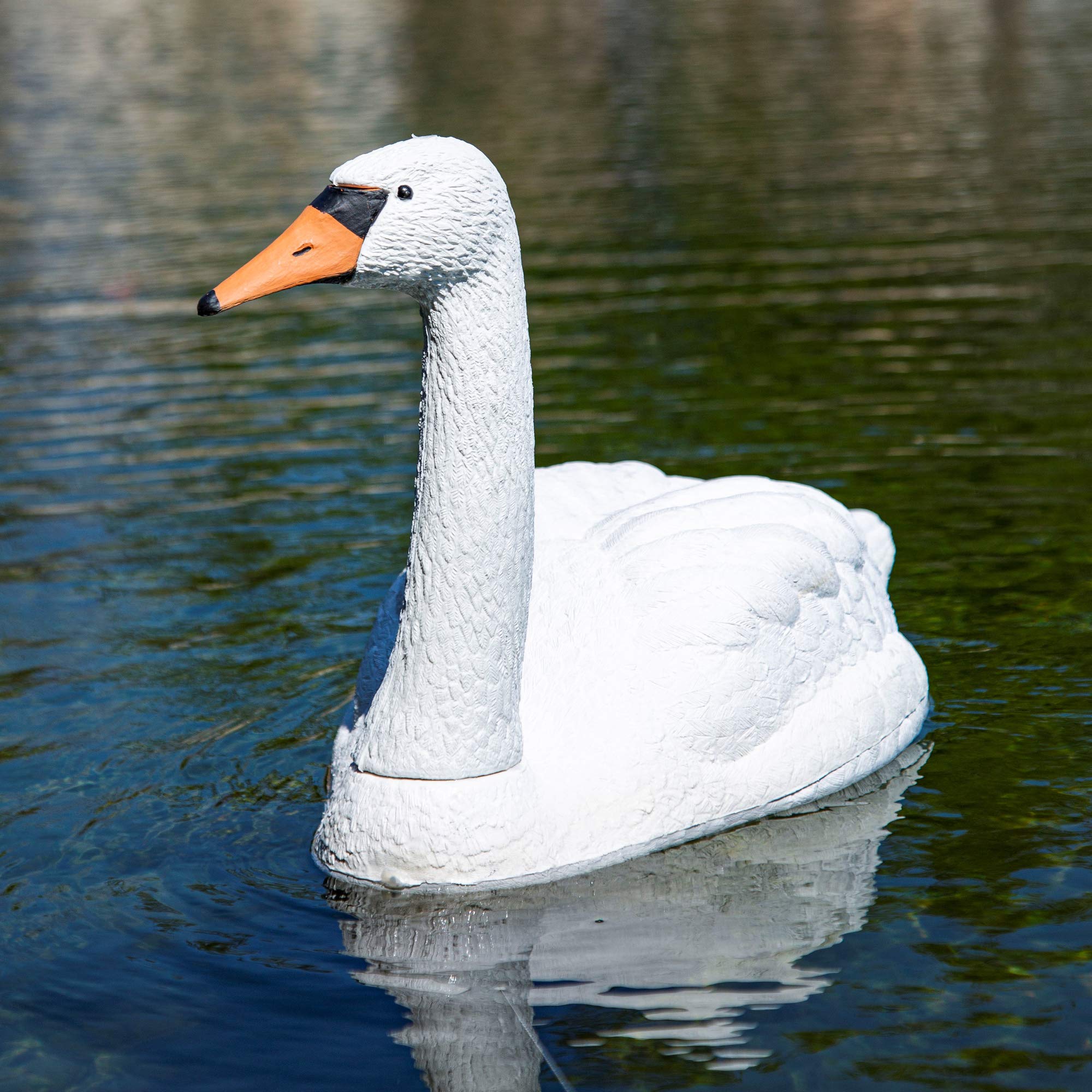 Aquascape swan decoy on land increases deterrence around the pond.