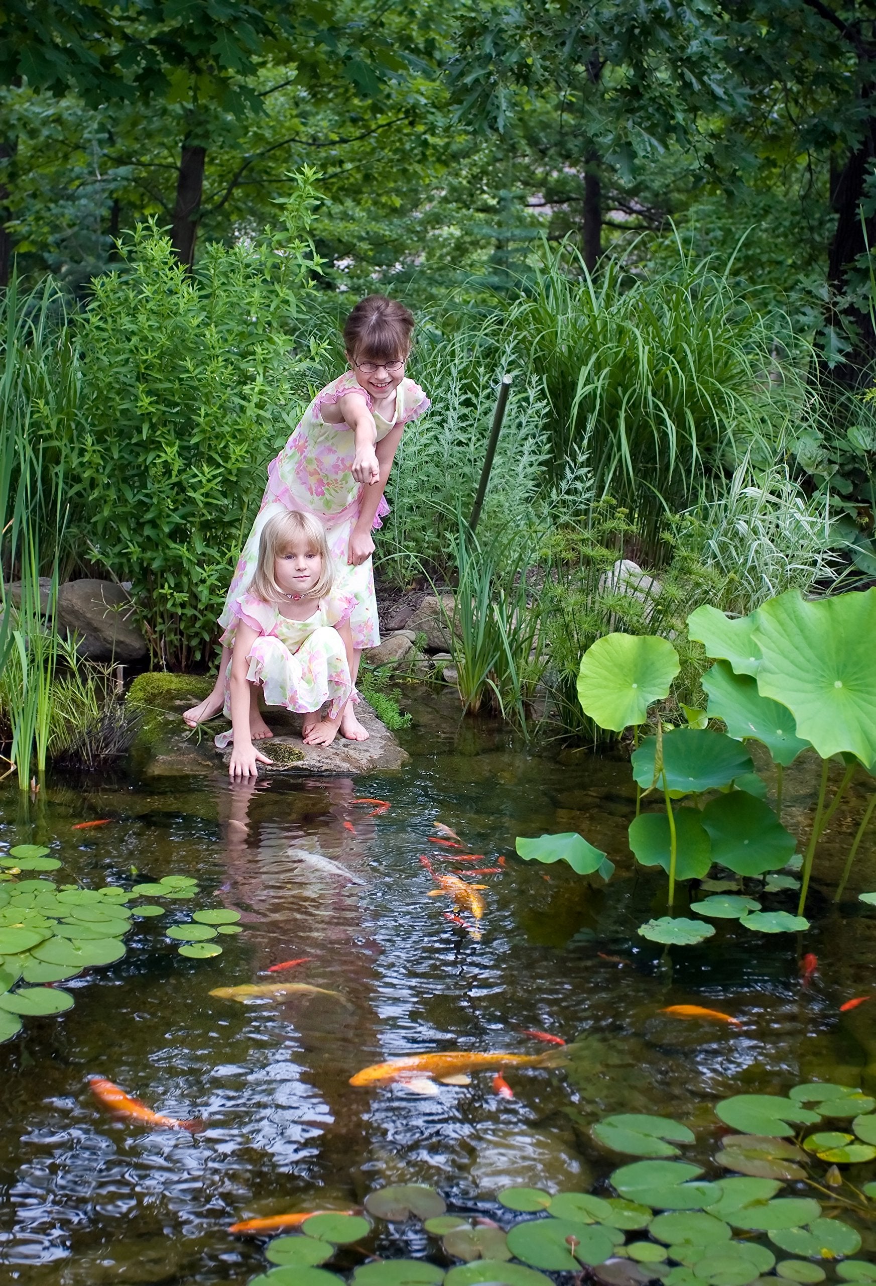 Aquascape Liquid Beneficial Bacteria label highlights PSB strains for pond balance.