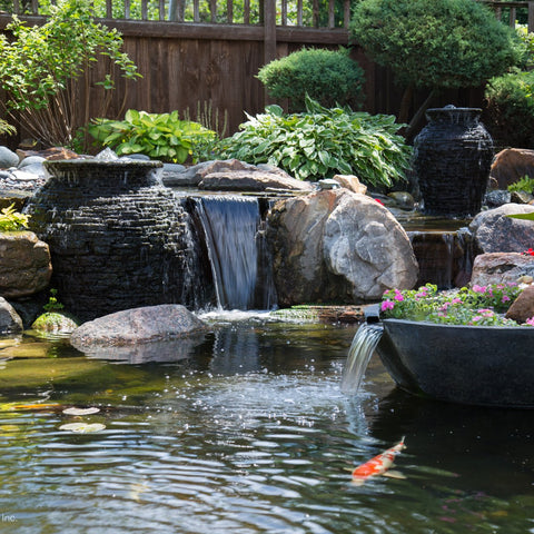 Aquascape Maintain koi pond setup shows vibrant fish and clean water.