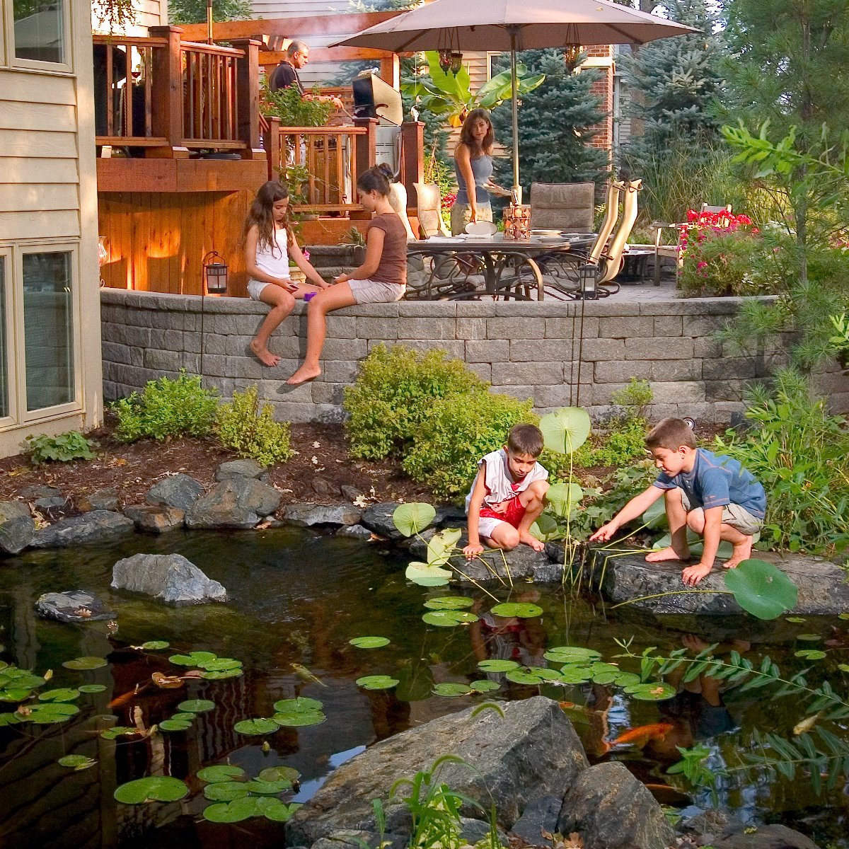 Aquascape Maintain phosphate binder icon highlights nutrient control.