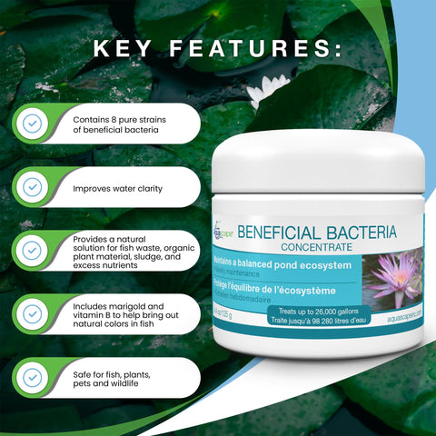 Aquascape marigold vitamin B image suggests fish health support.