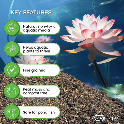 Aquascape pond aquatic plants in pots image highlights versatile media for koi ponds.