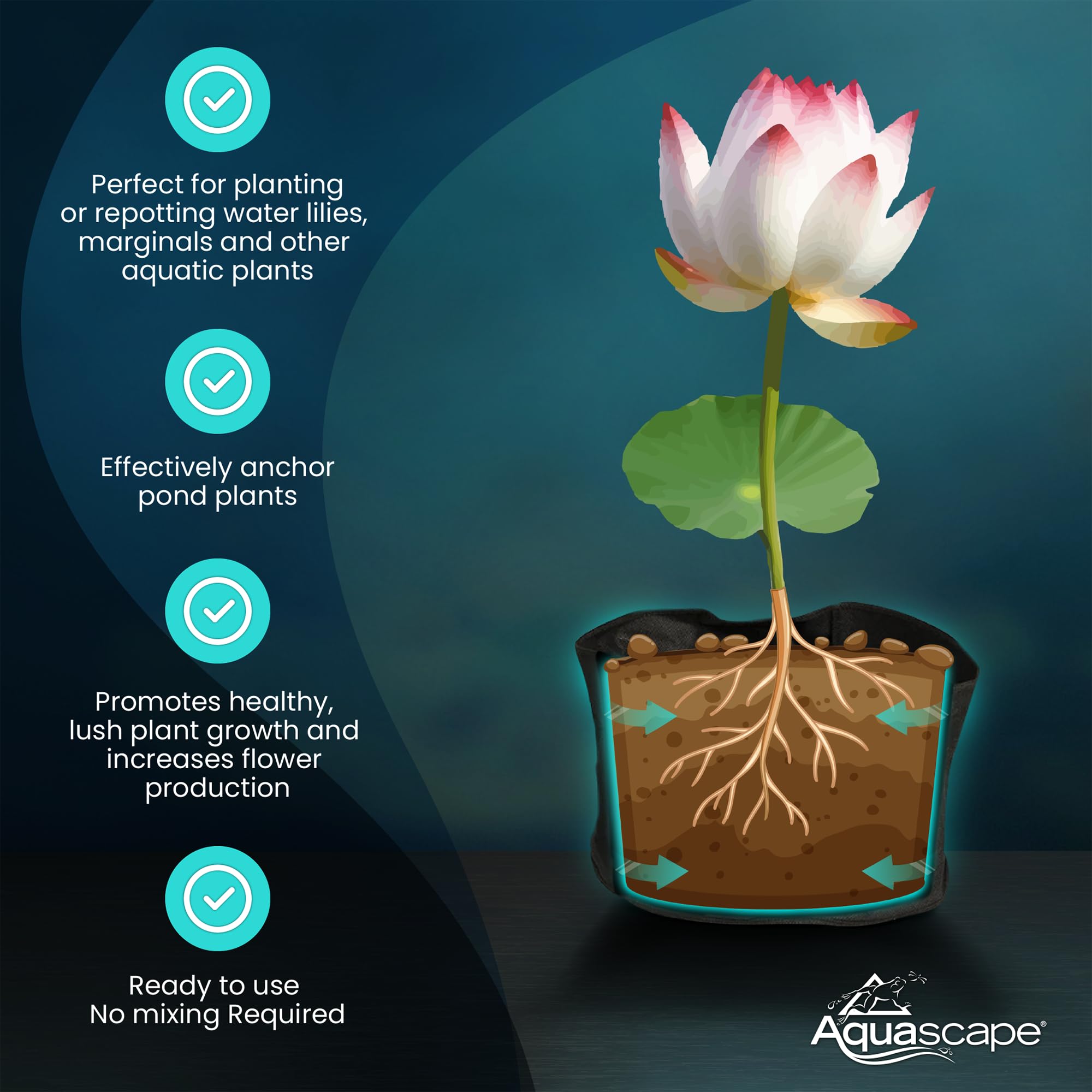 Aquascape pond koi-friendly media in use supports healthy plant growth.