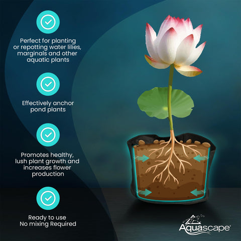 Aquascape pond koi-friendly media in use supports healthy plant growth.