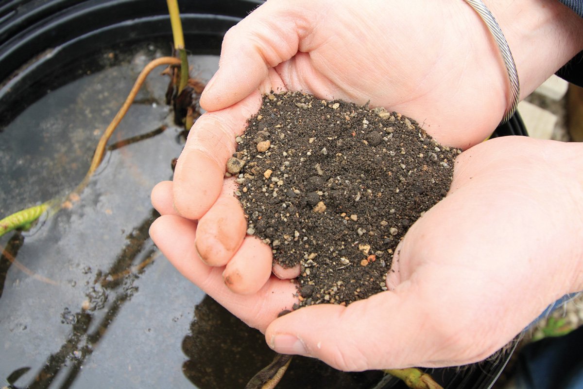 Aquascape all-natural media being poured creates a clean pond environment.