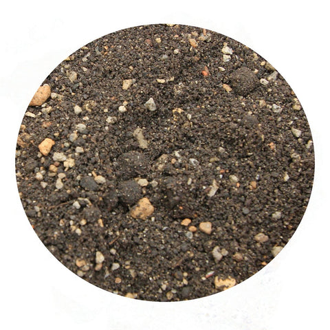 Aquascape media texture closeup reveals fine-grained substrate for water gardens.