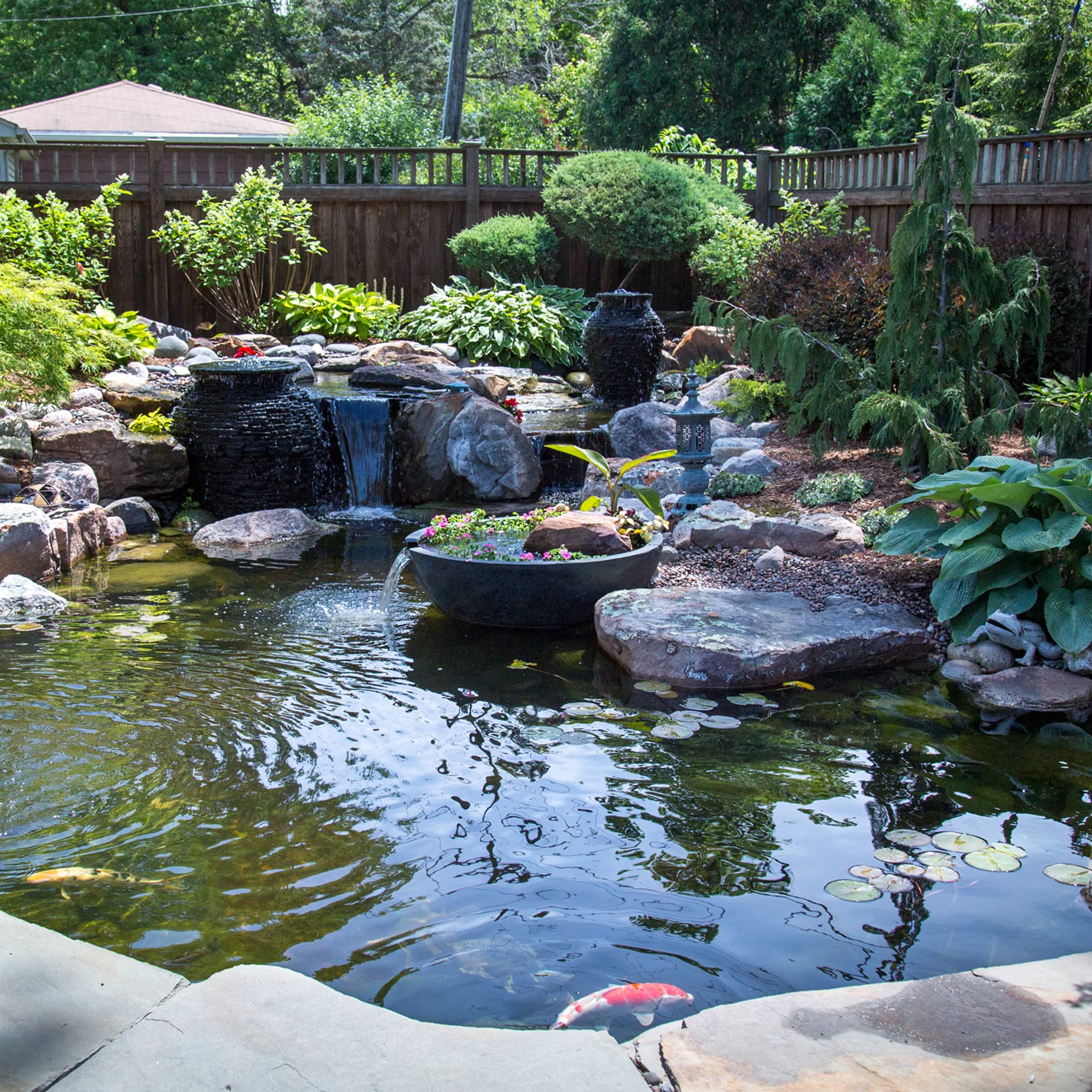 Aquascape pond edge scene showing cleaner between rocks after treatment.