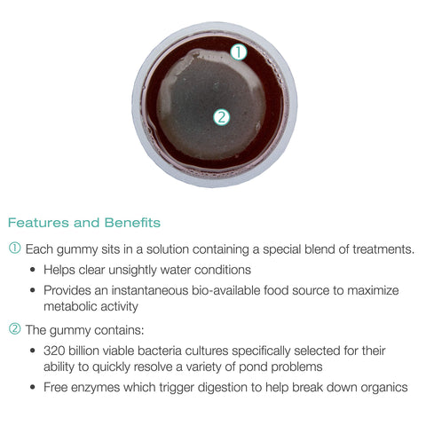 Aquascape QuickFix gummy-dissolve-release illustrates easy application during routine pond care.