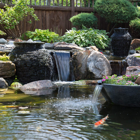 Aquascape water treatment is safe for fish, plants, and wildlife.