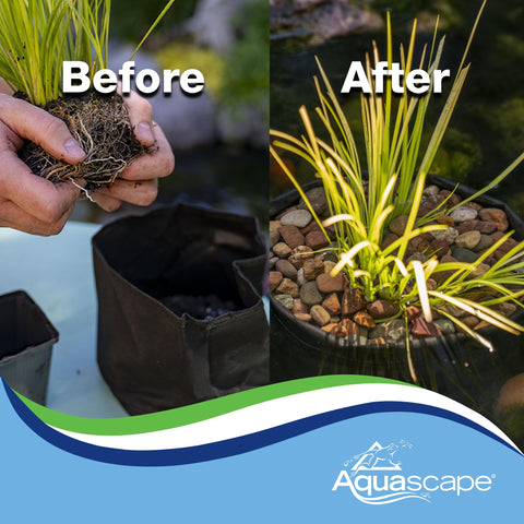 Aquascape two-pack fabric plant pot 12in round pack illustrates value and easy setup