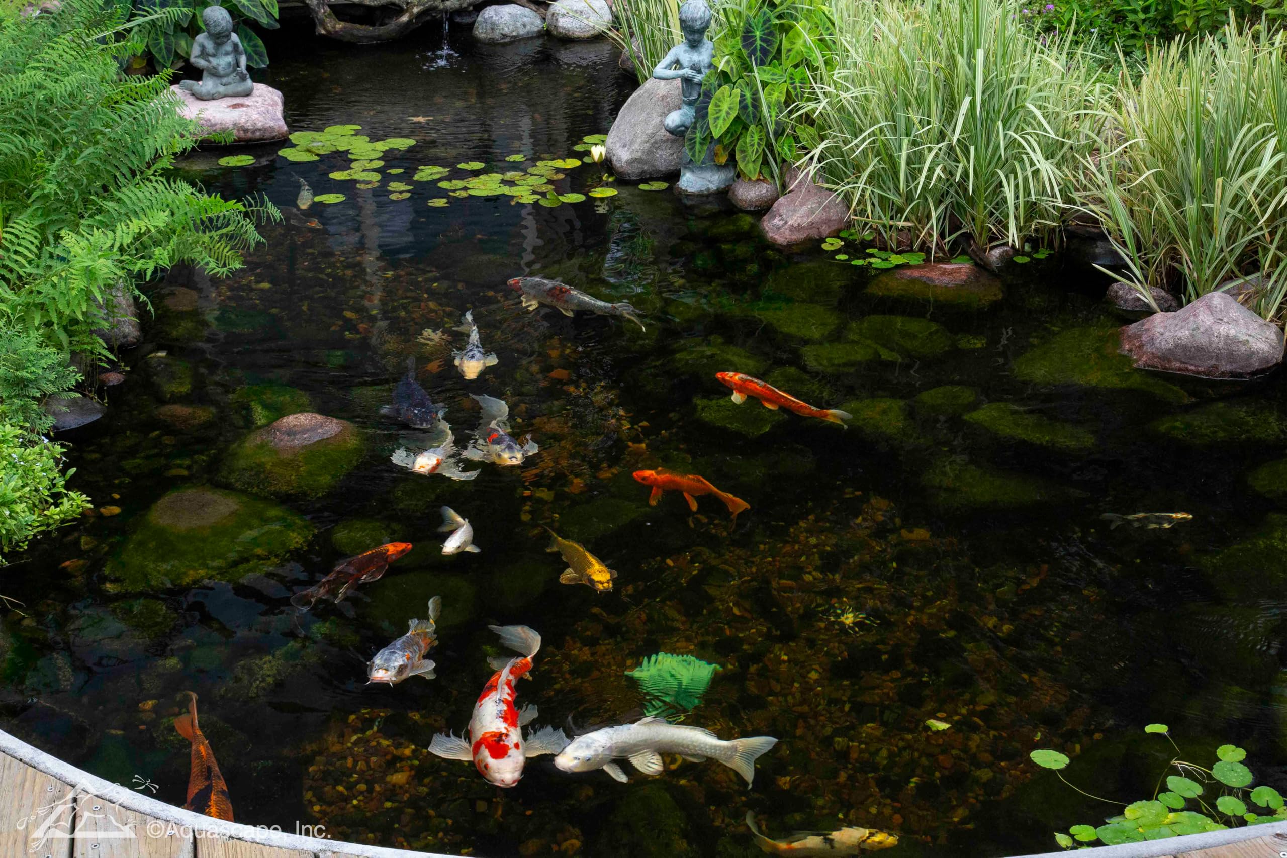 Aquascape UltraKlean product label displaying specs and benefits