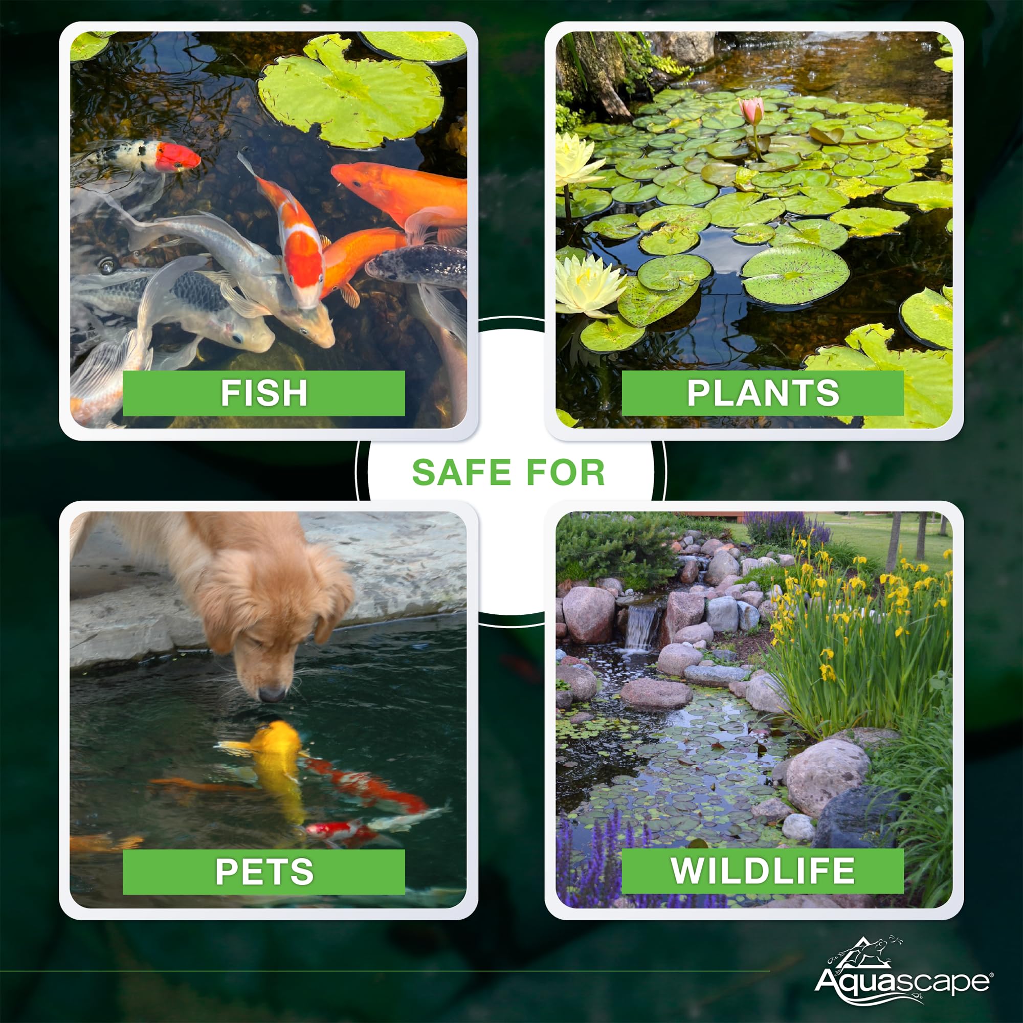 Aquascape pond water feature clarity illustration for waterfalls.