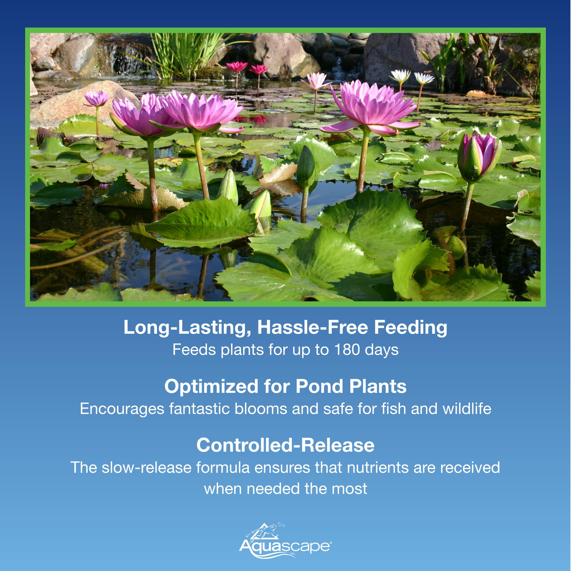 Aquascape year-round-feeding setup promotes continuous plant growth with minimal maintenance.