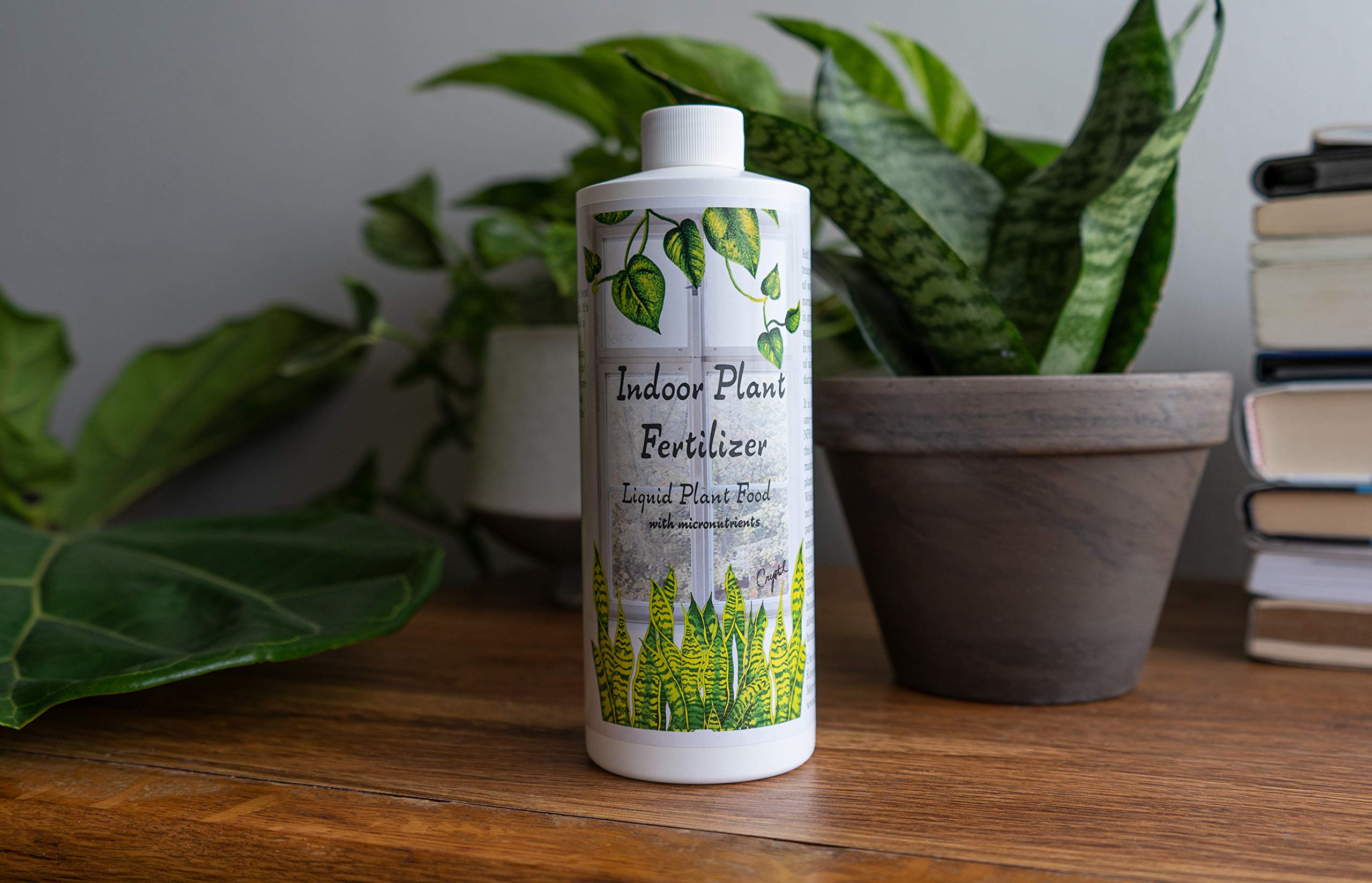 Indoor plant on a stand receiving Aquatic Arts feeding