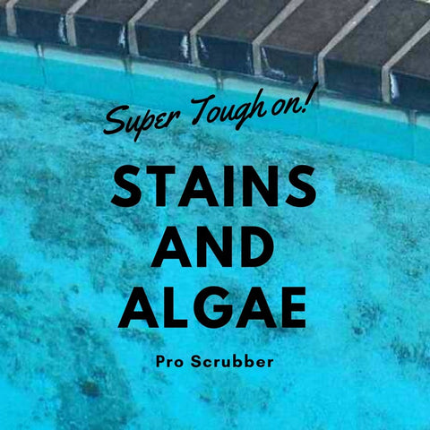 Aquatix Pro concrete and gunite pool brush for stubborn grime