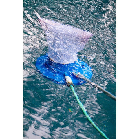 Aquatix Pro fine mesh construction traps small debris with durability.