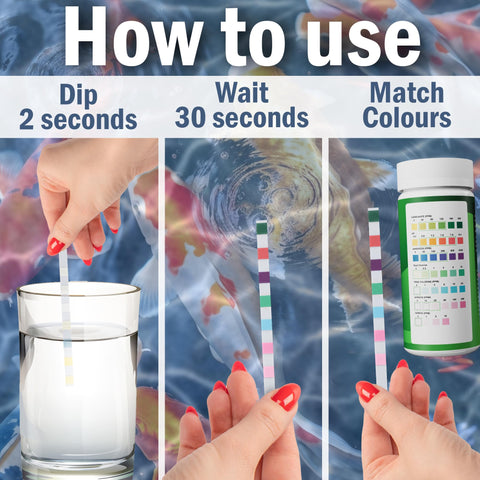 AQUAVERITY test strip being dipped into pond water for fast analysis.
