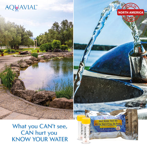 A AquaVial ecoli and coliform tubes show color changes for quick assessment.