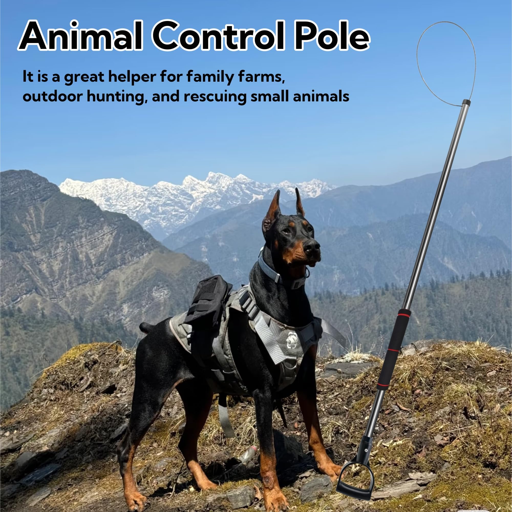 AQWXC easy-to-use tool supports safe rescue, relocation, and quick decision making.