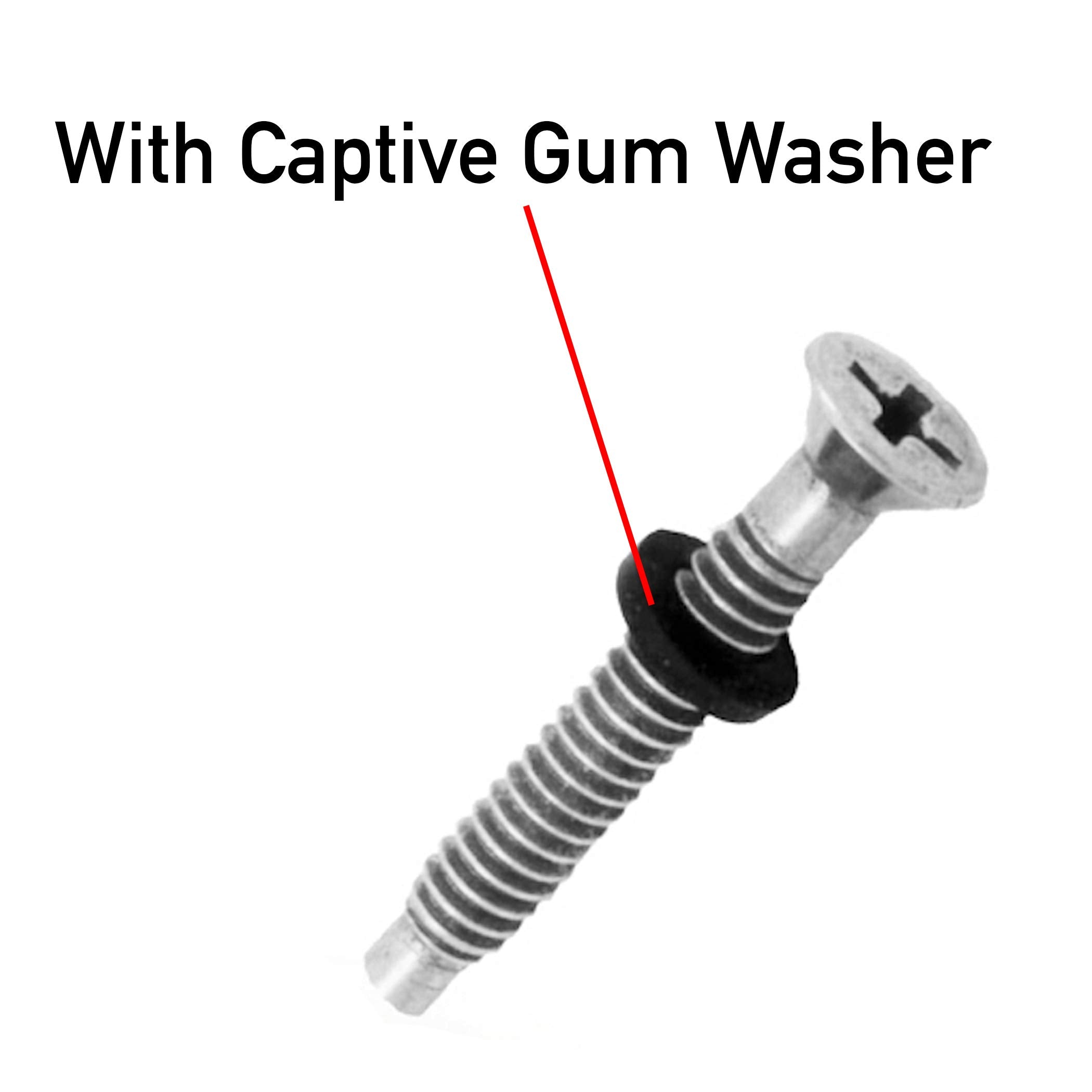 AR-PRO replacement screws fit Pentair Amerlite and SAM Amerlite lights