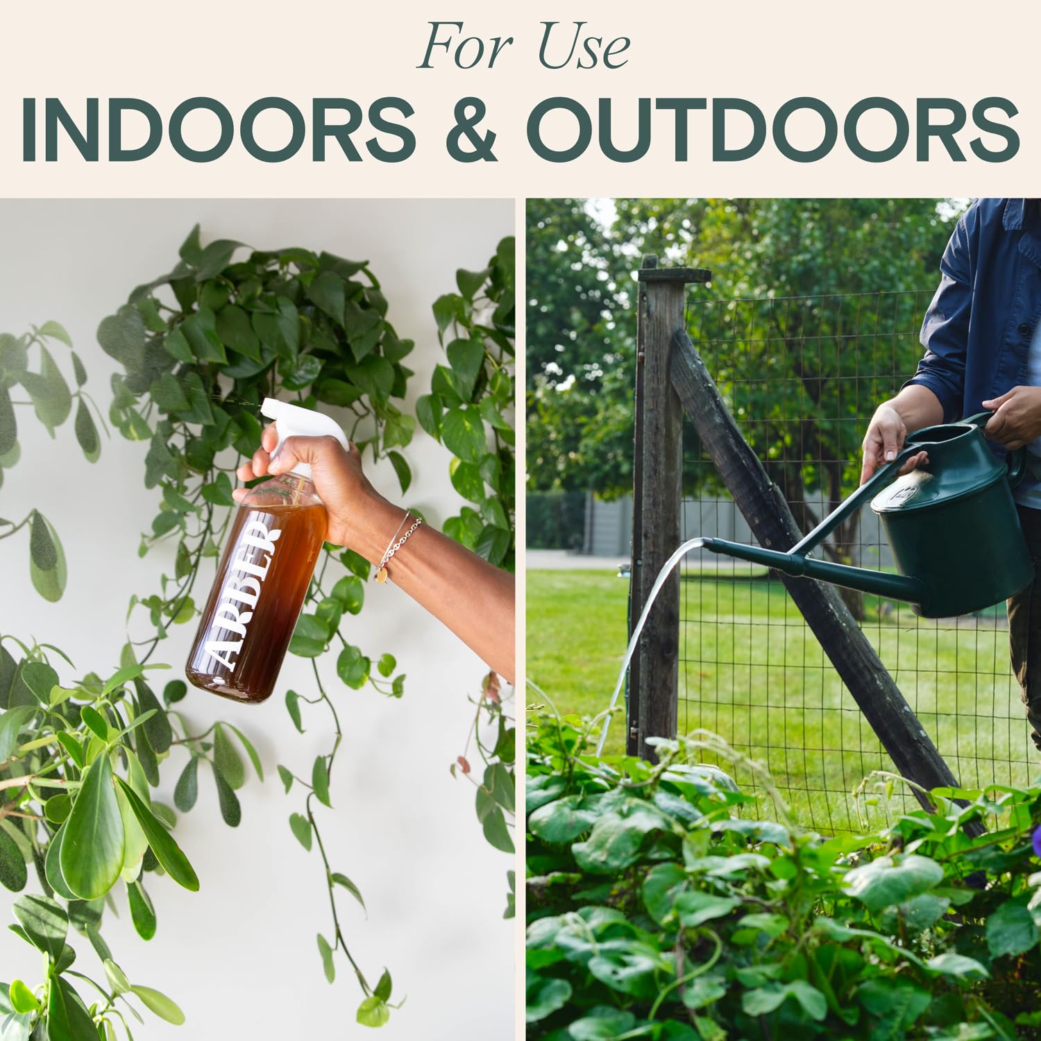 ARBER Bio Protectant applied to evergreen trees supporting vibrant foliage