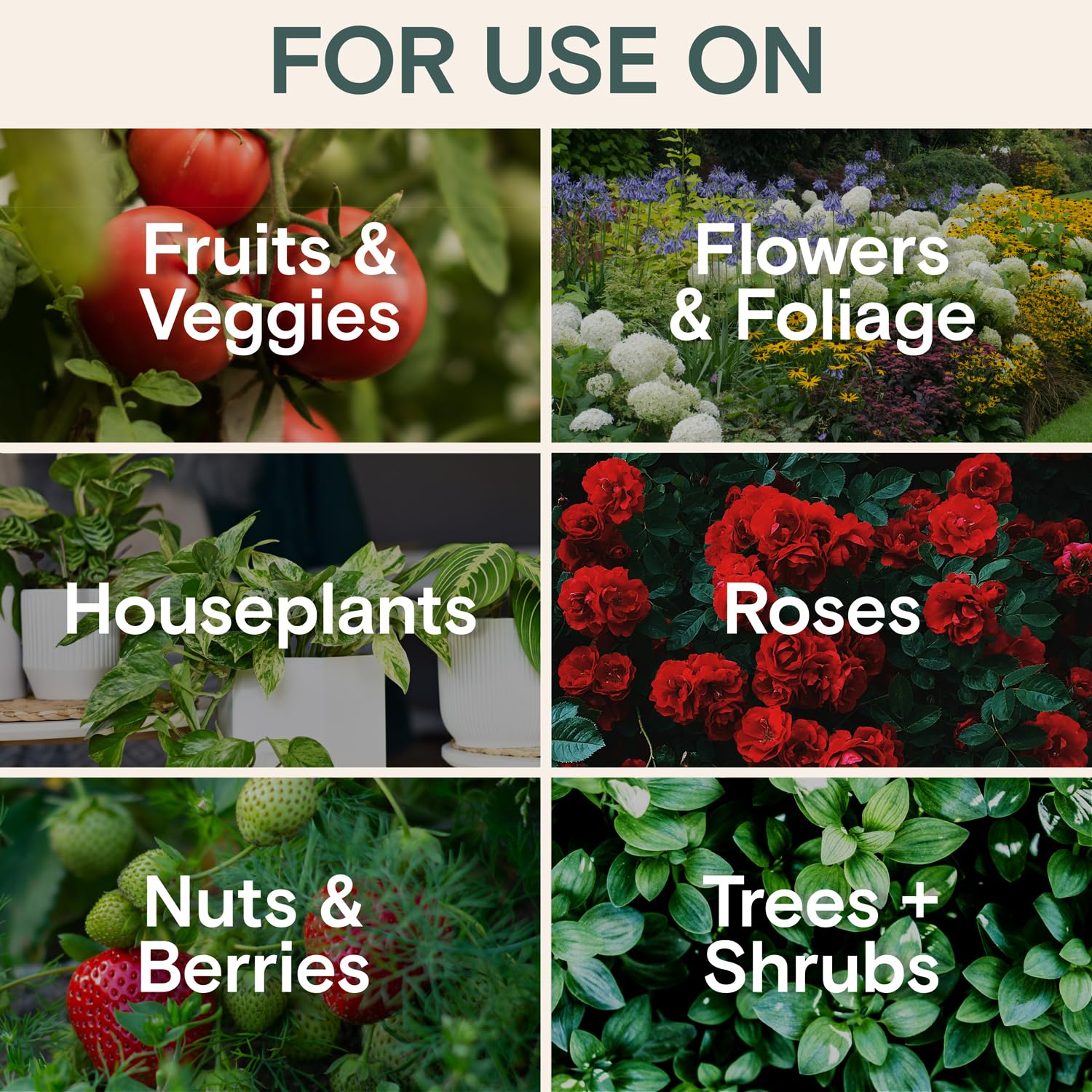 ARBER Bio Protectant encourages healthy green foliage and bloom potential