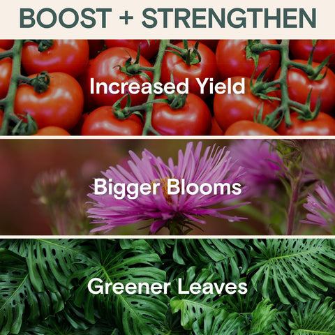 ARBER Bio Protectant organic-label close-up highlighting eco-friendly formula