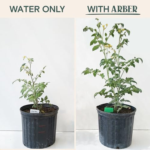 ARBER Bio Protectant ready-to-use liquid for simple garden care