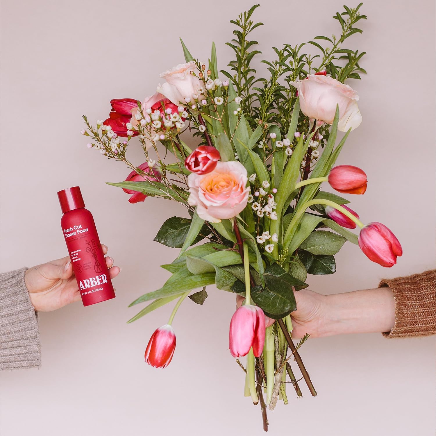 ARBER Dried flower display stays vibrant with care