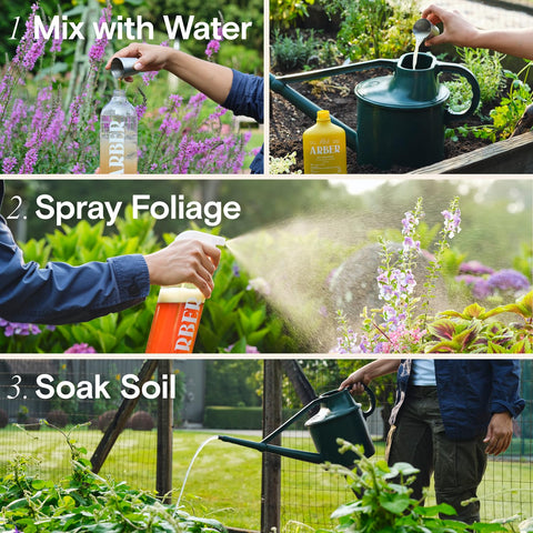 ARBER concentrate applied in greenhouse settings.