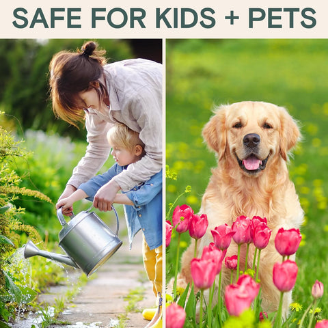 ARBER kid- and pet-safe formula for gardens around families