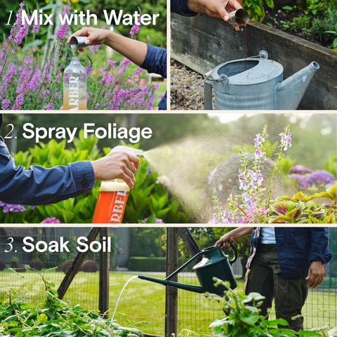 ARBER lawn disease spray for turf health and color