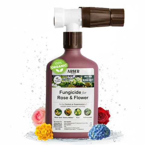 ARBER organic fungicide on roses and flowers ready-to-spray promotes healthier blooms