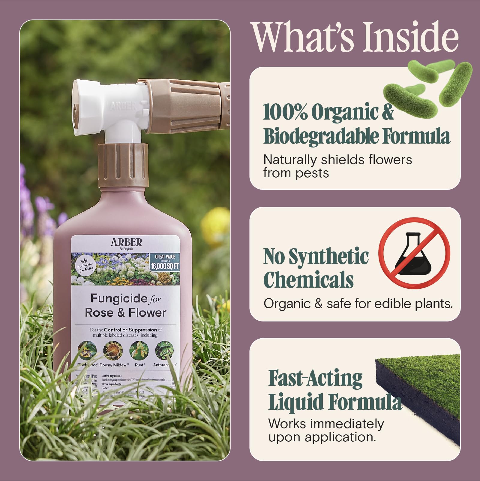 ARBER bio-shield on plants supports natural disease resistance