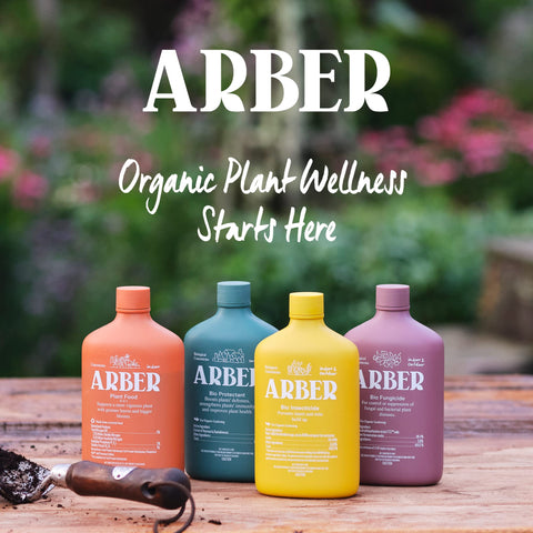 ARBER perfect for quick countertop cleaning with safe solutions.