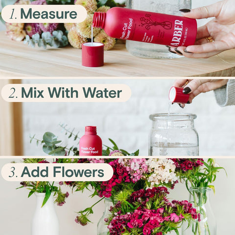 ARBER Vase solution used in a clear vase