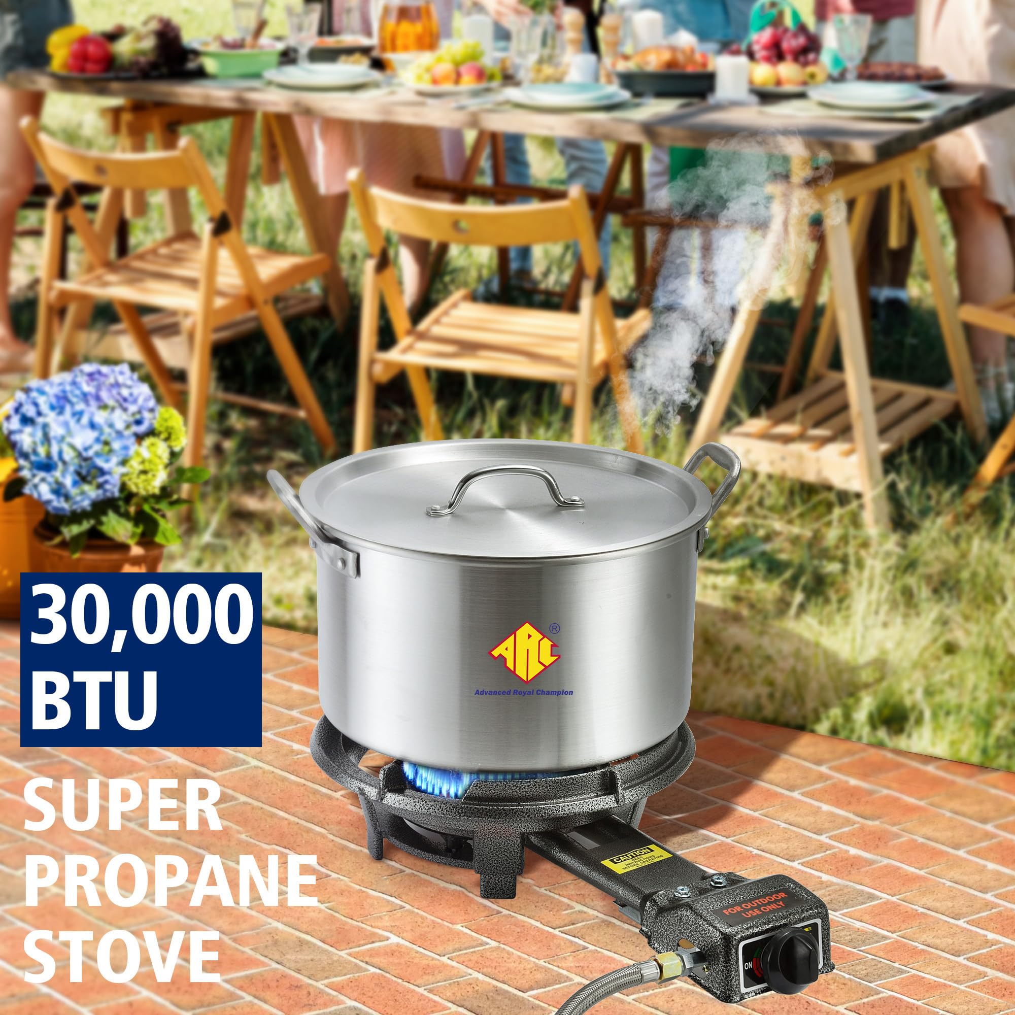 ARC Advanced Royal Champion heat sizzle image demonstrates wok-ready performance at high heat