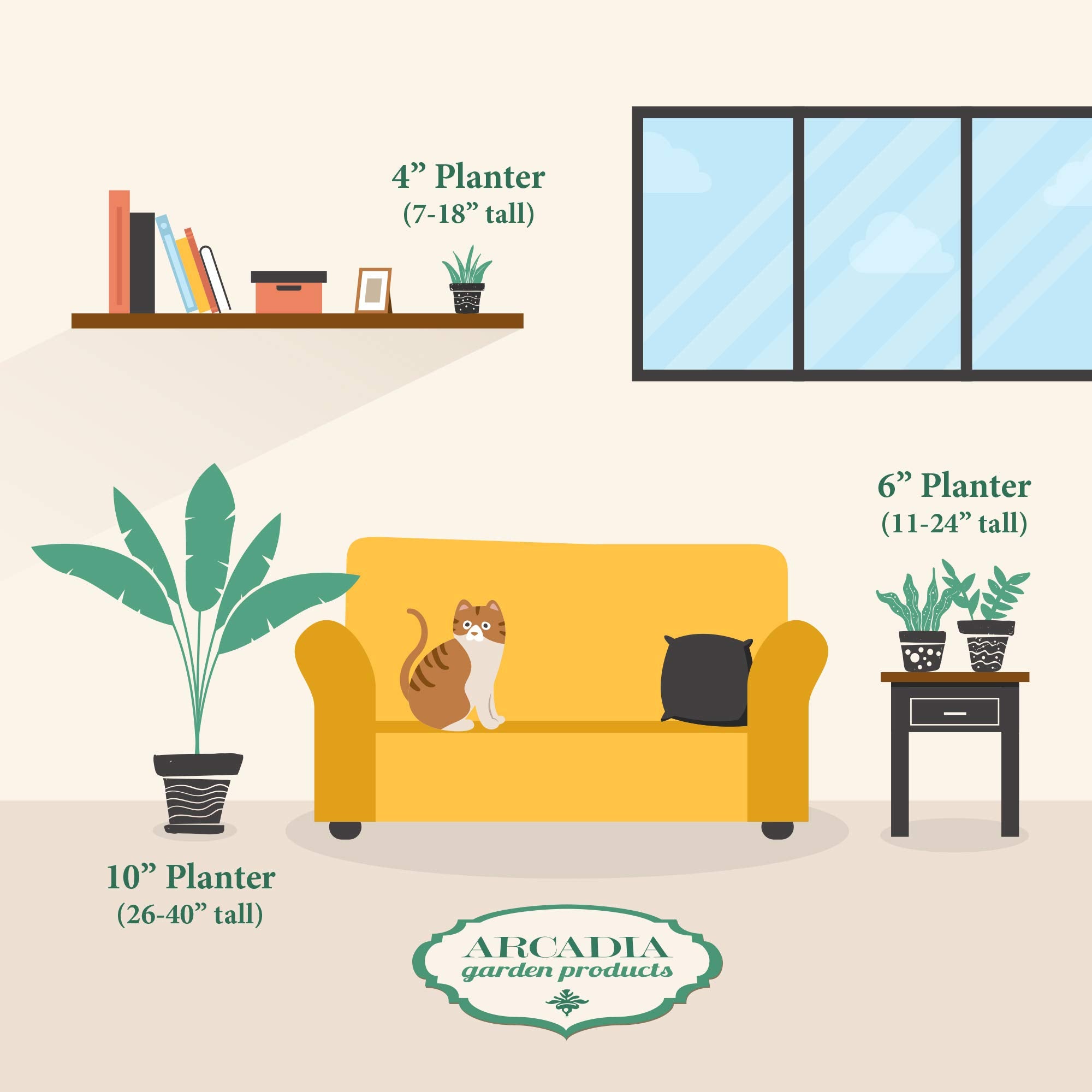 Arcadia Aloe Vera on a windowsill adds minimalist home decor.