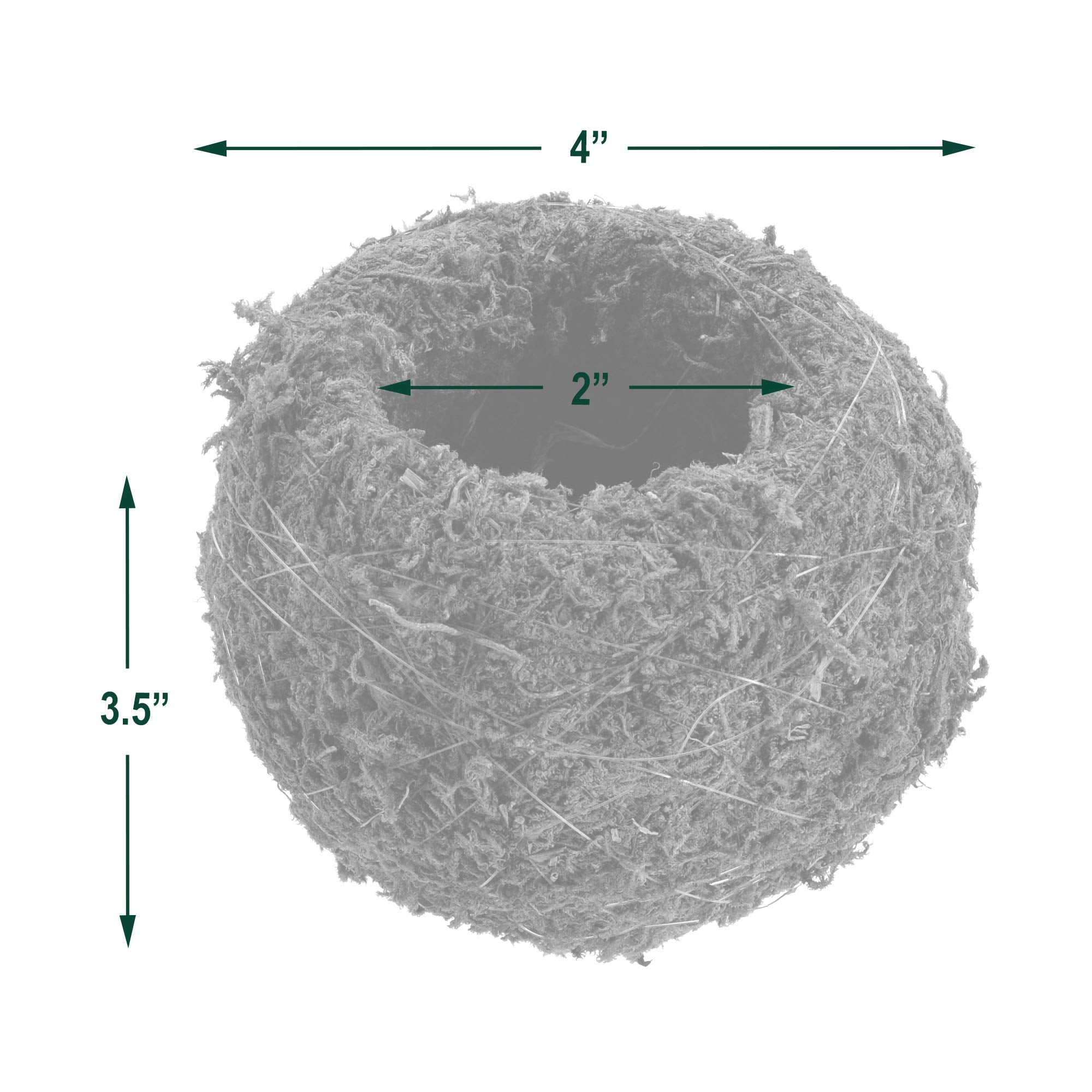 Arcadia KO01-2 Kokedama indoor-outdoor display, suited for tables or porches.