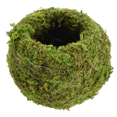 Arcadia KO01-2 Kokedama moss wrap, ready-made for moss ball display.