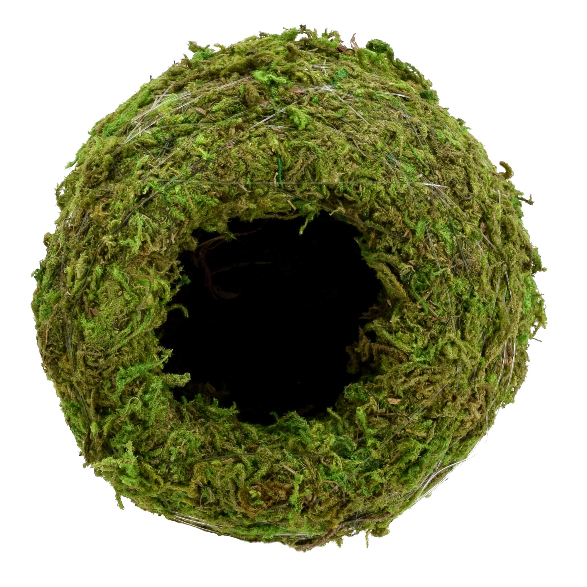 Arcadia KO01-2 Kokedama plant in sphere, quick setup for vibrant greenery.