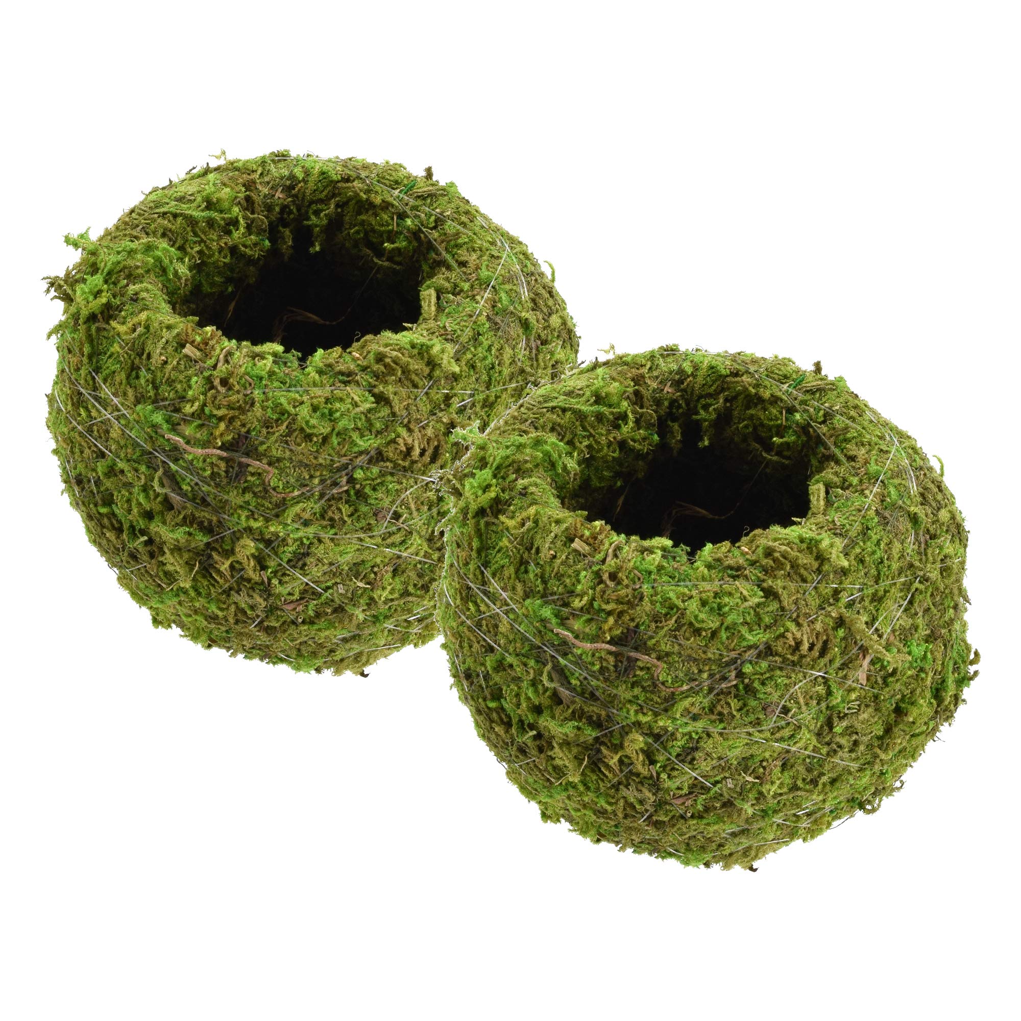 Arcadia KO01-2 Kokedama sphere with wire frame, a durable indoor decor centerpiece.