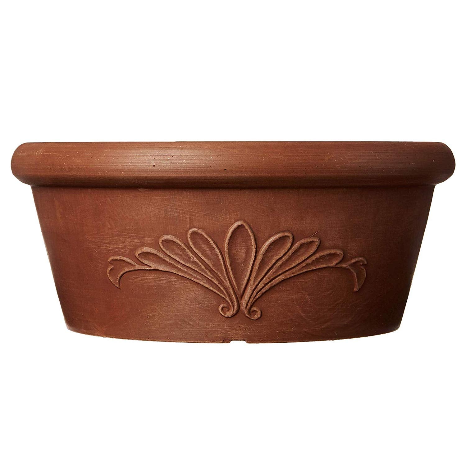 Arcadia Garden Products PSW bulb pan height 3-5in, stable shallow container for bulbs and succulents