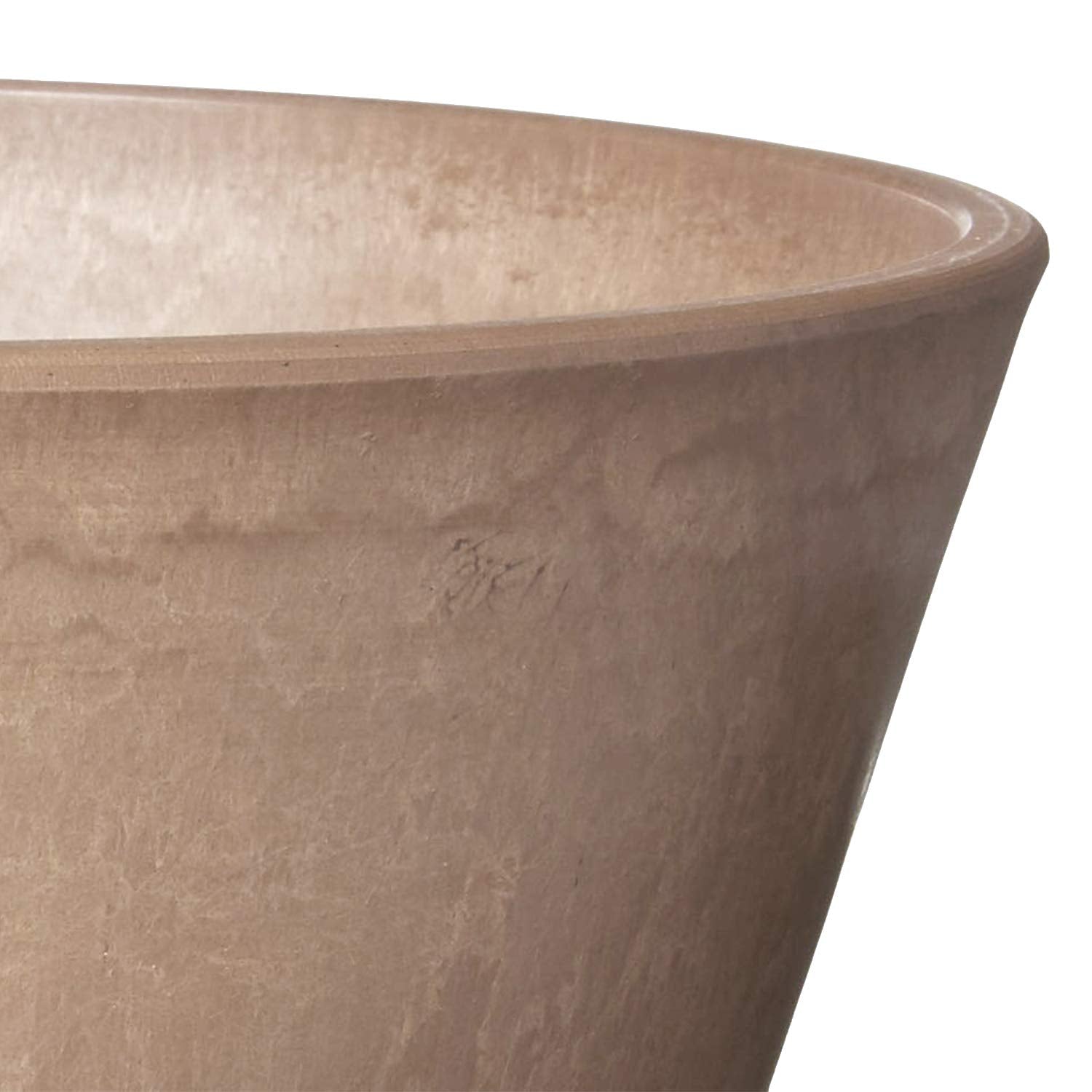 Arcadia PSW pot showcases bulbs and succulents in a compact display.