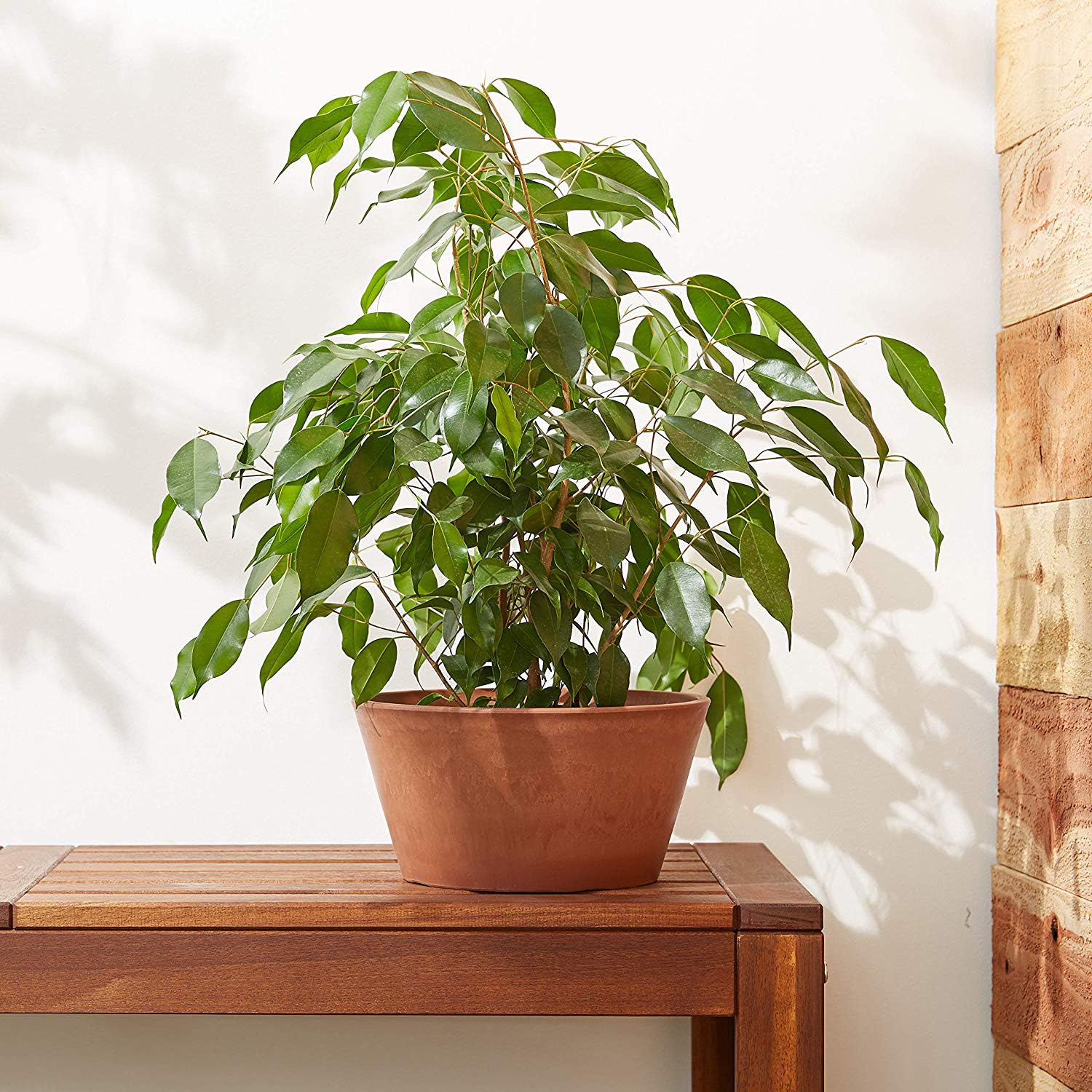 Arcadia PSW indoor outdoor use demonstrates versatile placement in homes or patios