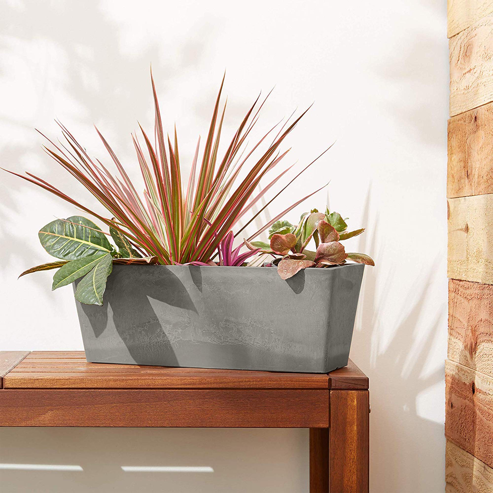 Arcadia PSW Simplicity Window Box indoors as a stylish display container.